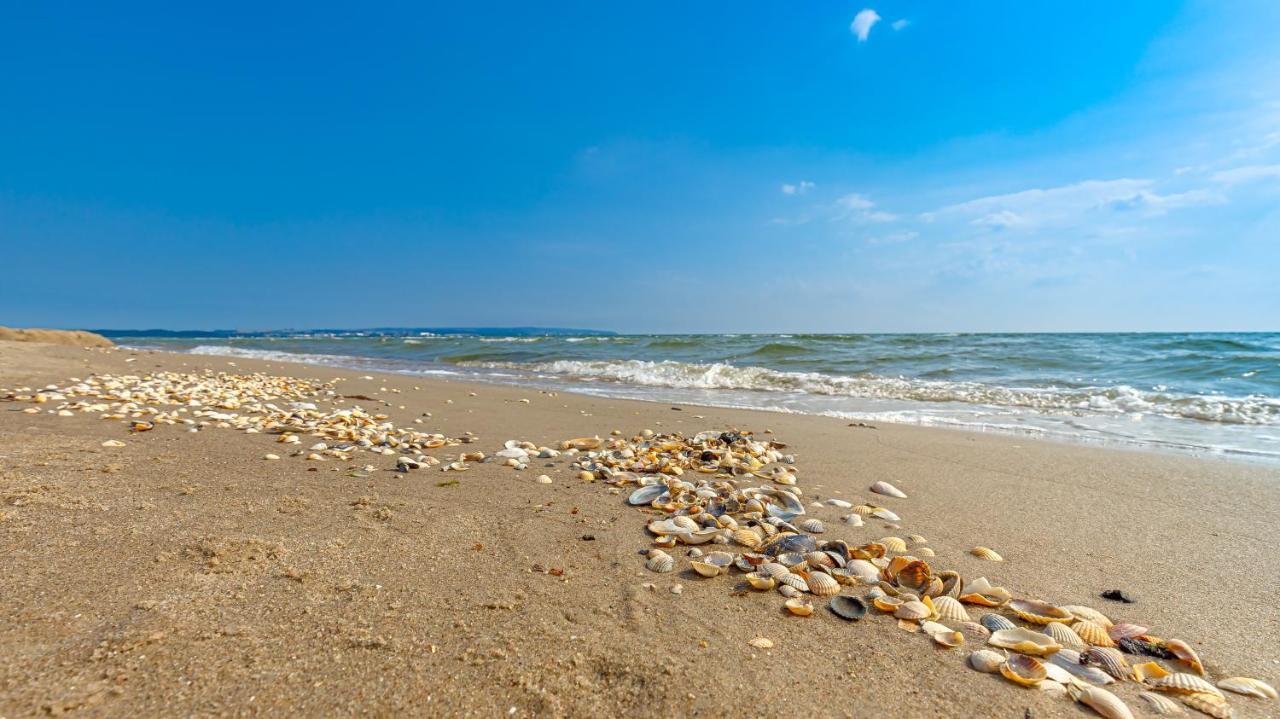 Апартаменти Strandurlaub Ruegen "Luett Matten" Бінц Екстер'єр фото